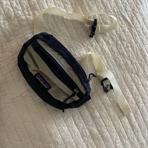Patagonia Mini Hip Pack